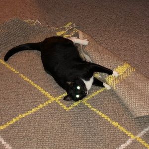 Meet your Posher, Michael